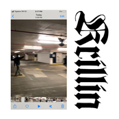 They Are Gutting a Body of Water: krillin