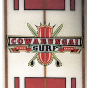 Cowabunga! The Surf Box