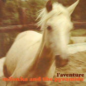 Untitled Album