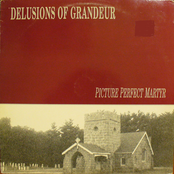 Picture Perfect Martyr