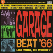 Garage Beat '66 vol. 1: Like What, Me Worry?!