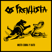 Misto Cobra Y Rato
