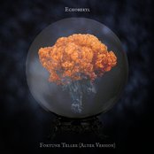 Fortune Teller (Alter Version)