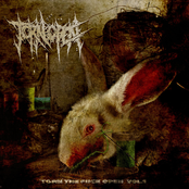 Torn Open: TORN THE FUCK OPEN Vol. 1