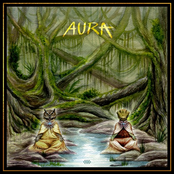 Freedom Fighters: Aura