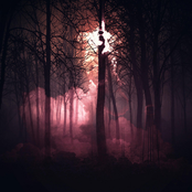 A Psalm For Us - Single