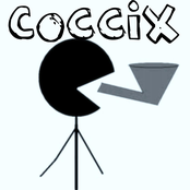 coccix