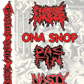 Tempestuous Grinding Insolence