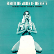 Beyond The Valley of The Beats