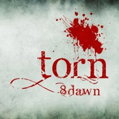 Torn