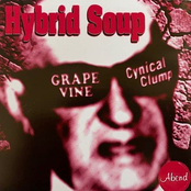 Hybrid Soup