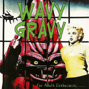 Wavy Gravy - For Adult Enthusiasts