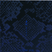 青蛇-僕の中の青い闇-