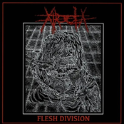 FLESH DIVISION