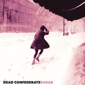 In The Dark by Dead Confederate
