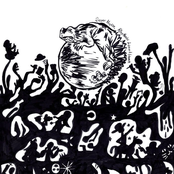 Rhythmic Lizard Moon