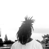 VLOOD THIS, VLOOD THAT