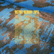 Instant Memory Lapse