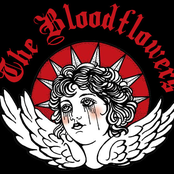 the bloodflowers