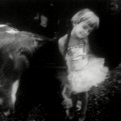 you cant fight the sickness with tea and biscuits