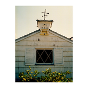 sunflwr: pass on over