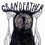 grandfather birds