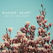 Summer Heart: Beat of Your Heart