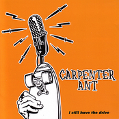 Addiction by Carpenter Ant