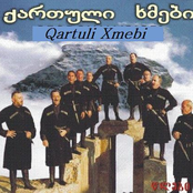 qartuli xmebi