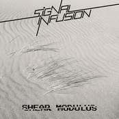 Shear Modulus - EP