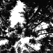 Perceptions of Sightlessness