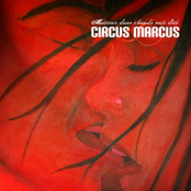 La Chambre by Circus Marcus