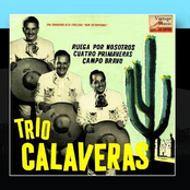 Vintage México Nº 120 - EPs Collectors, "Ruega Por Nosotros"