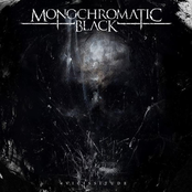 Monochromatic Black: Vicissitude