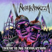 There is No Revolution...