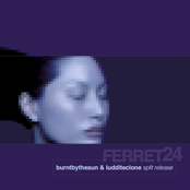 Burnt By The Sun/Luddite Clone Split