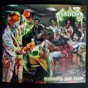 excerpts and noise that make zombies seem friendly compilation