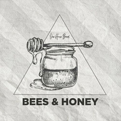 Bees & Honey