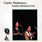 Cante Flamenco