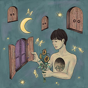 Heart Collection Box