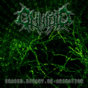 Erased Binary Re-Animation