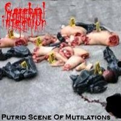 Putrid Scene Of Mutilations
