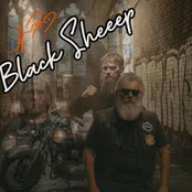 Black Sheep
