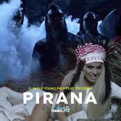 Pirana (feat. Young Palk & Teodora) - Single