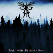 Spirits Within The Mighty Forest