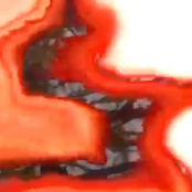 I Don't Want It to End