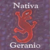 Nativa Geranio