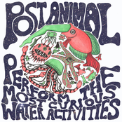 Post Animal: Post Animal Perform the Most Curious Water Activities
