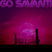 Go Savant!