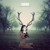 Shane Alexander: Ladera